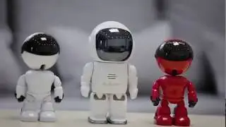 IT камера ROBOT