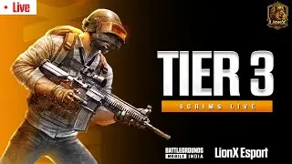 LionX Live Stream
