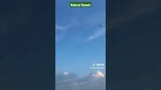 Natural Beauty Of my Village #pothwar #kallar_syedan #bhalakhar #shortvideo