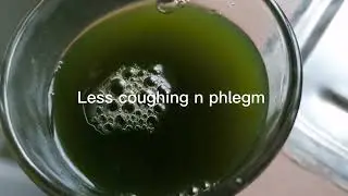 Juicing a dandelion-like weed @sweha6417