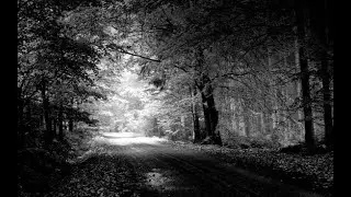 Raymond Lefevre Grand Symphonix Orchestra - La Solitude