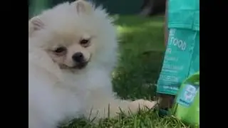 How it Works Dog Waste Bags