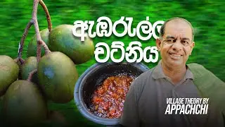 Spicy & Sweet Ambarella Chutney🍃 | Home Made | Sri Lankan Village Culture
