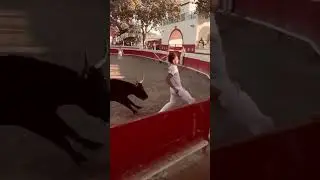 Torero in Not: Stier und Mensch springen aus der Arena! 😱🐂