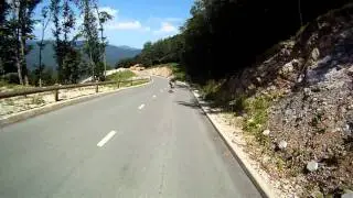 Bear's Guts