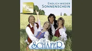 Und ein Stern fiel ganz leise vom Himmel