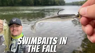 Swimbait Fishing on the Great Miami River--Walleye, Smallmouth, and some Unexpected Drag Peelers!