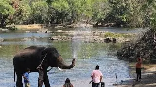 Dubare Elephant Camp | Creating Memories#kushalnagar#madikeri  #38years#school#OldFriendsNewMemories