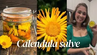 How to make Calendula Salve/ how to make herbal infused oil #calendula #organic 