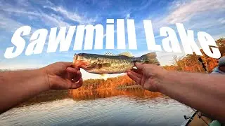 BWCA in Wisconsin?