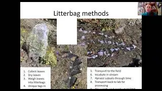 Carbon & decomposition - Part 3