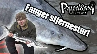 Spontan stør tur i Poppelsøen! | FANGER STJERNESTØR!!!