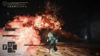 Elden Ring - Putrid Tree Spirit - Astrologer Got Pretty Lucky