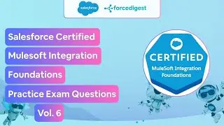 Salesforce Certified MuleSoft Integration Foundations - Practice Test Questions Vol. 6