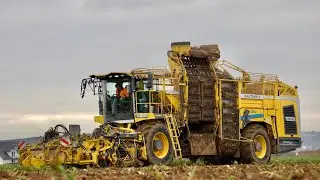 Ropa Panther 2s Prototyp | R&uuml;benernte 2021