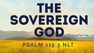 The Sovereign God | Psalm 115:3 NLT | Pastor Johnson