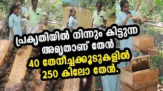 തേനീച്ച + മൽസ്യം + താറാവ് + പശു + നെല്ല് + പച്ചക്കറി = ശ്രീകുമാറിന്റെ കാർഷിക സമവാക്യം | Beekeeping