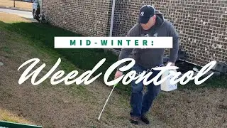 MID-WINTER WEED CONTROL 2020: Taking The Time To Spray Weed Killer In The Dormant Bermuda