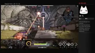 Sparrow - Paragon