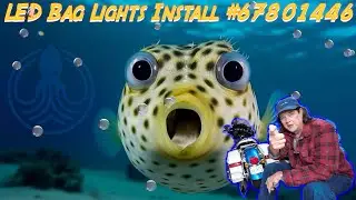 HD LED Bag Lights Install #67801446