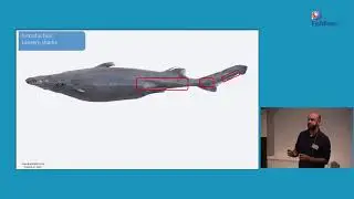 Nicolas Straube: Glow in the dark sharks &ndash; interrelationships and evolution of bioluminescent sharks