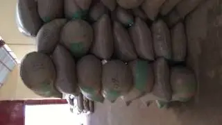 FAE EXPORT Sesame seed processing factory in Nigeria