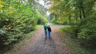 For&ecirc;t de Marchiennes vue du Ciel