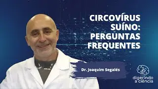 Circov&iacute;rus su&iacute;no: perguntas frequentes - Dr. Joaquim Segal&eacute;s