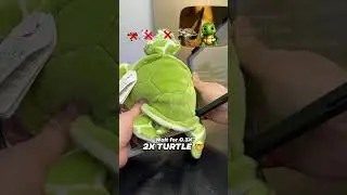 Turtle Evolution&hellip; 🐢