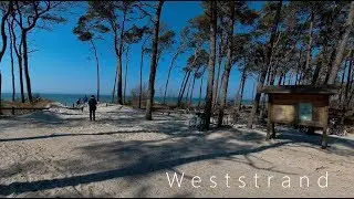 Ostsee und Dar&szlig; / Halbinsel Fischland - Dar&szlig; - Zingst / Dar&szlig;erort und Weststrand / Balticsea