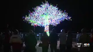 Visitors from Poland and Denmark enjoy celebration at Lee's Summit Magic Tree