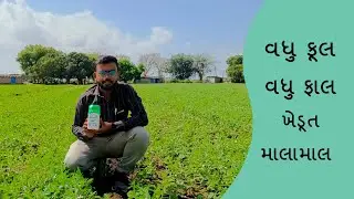 ઉનાળુ તલ પાકમાં વધુ ફૂલ  વધુ  ફાલ માટે ઓપ્ટીમા નો ઉપીયોગ/Use Optima plus in Till crop