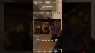 А вам попадались такие тиммейты? 😆