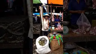Rural Street Market Food Tour | Trying Exotic Fruits, Grilled Meats & Local Snacks