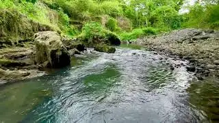 Soothing River Flow Therapy to Relieve Stress, Anxiety and Improve Sleep