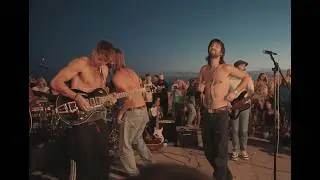 The Gulls & The Big Push - Revolution on Brighton Beach