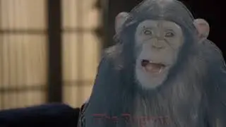 You're a chimp with a machine gun, Jimmy!