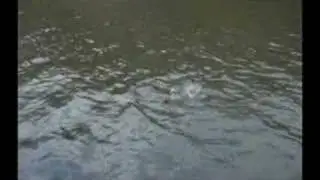 Gabby does a little Fishin' on Carr Creek Lake