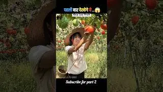 Eating China fruits....😲😱।Eating China's Weirdest Fruit 😱#shorts #fruit #facts