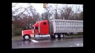 Smithfield Pig Save Vigil Nov 22, 2015