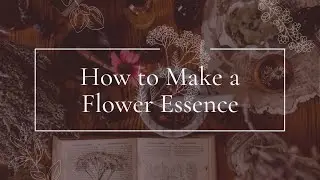 How to Make a Flower Essence