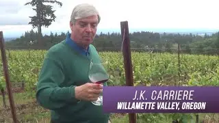 #wine #pinotnoir # winevideo #wineexpert   Oregon Pinot Noir | David Kohl The Grape Explorer