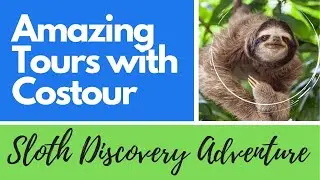 Sloth Discovery Tour with Costour - Journ&eacute;e chez les paresseux