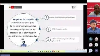 Video AT01 PIP 18032025