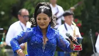 BELLA GOLONDRINA DEL PERÚ /  MIX CARHUAMAYINO