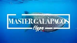 Master Galapagos Liveaboard