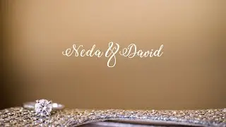 St. Augustine Wedding Videographer -  Life and Love Studio - The Lightner Museum - Neda and David