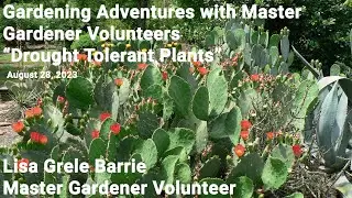 Master Gardener Talk - 