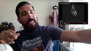 Trivium - What the Dead Men Say [Reaction]