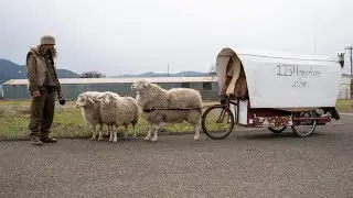 DIY handcart home!(blueprints included)